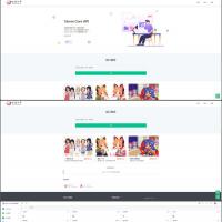 一款强大的api管理系统Storm Core API_V1.1免授权源码分享